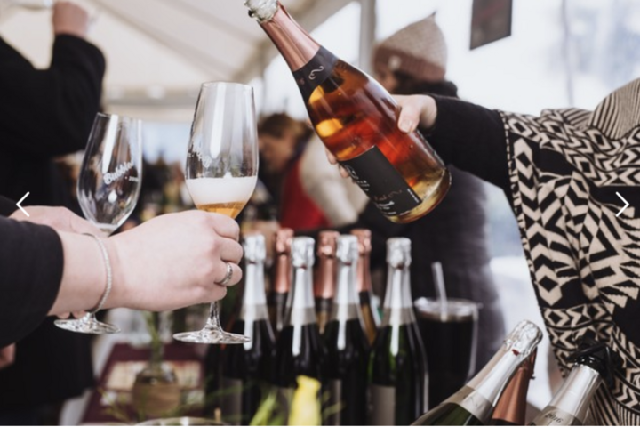 Degustace vín z vinařství Kramer 