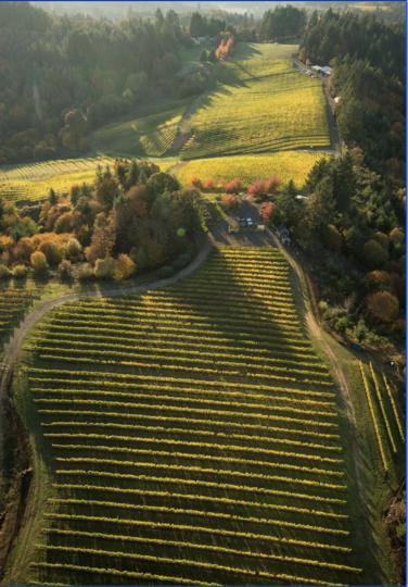 Degustace vín z vinařství Kramer 