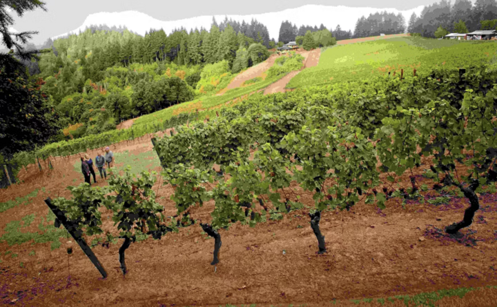 Degustace vín z vinařství Kramer 