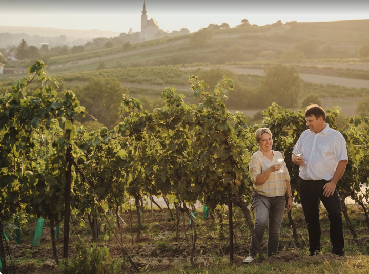 Degustace vinařství Hirtl