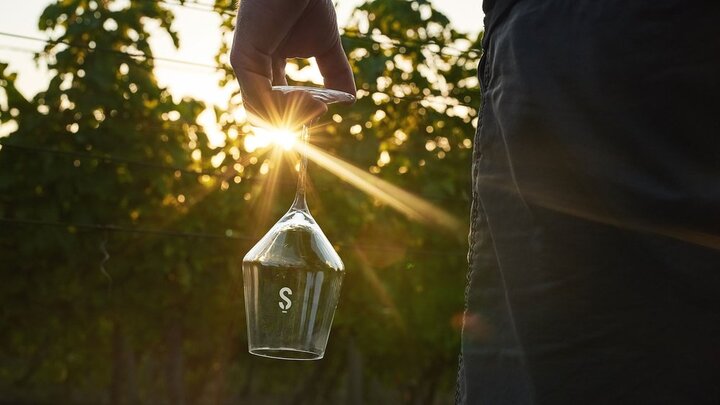 Degustace vín Šimonovič